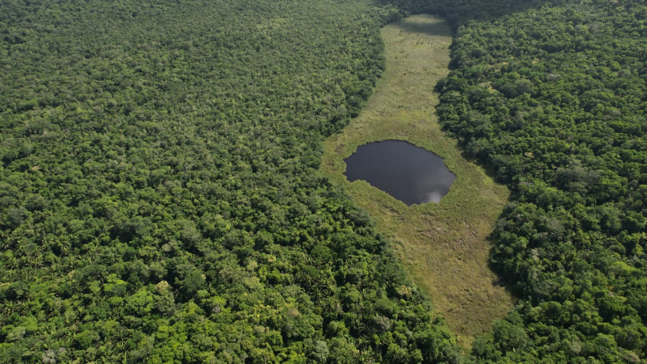 Unidad de manejo La Unión recibe prórroga de concesión forestal