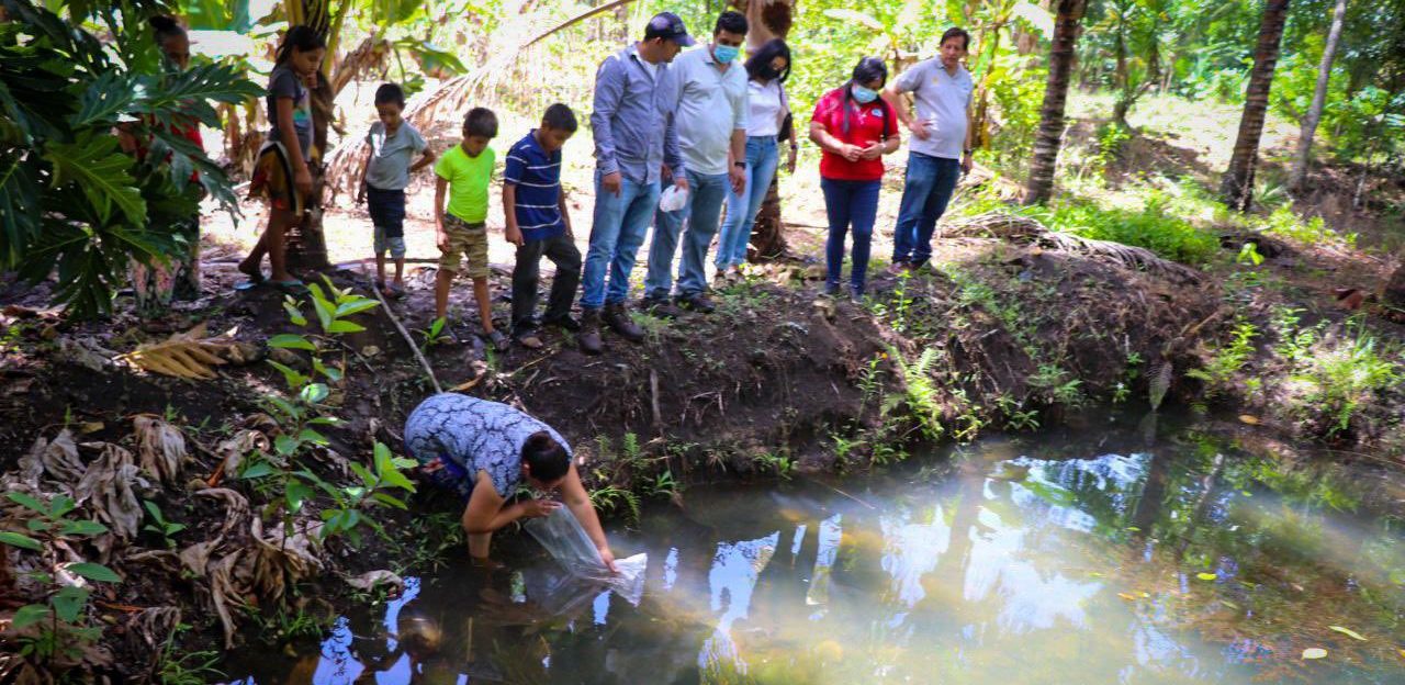 Cultivo de tilapia fortalece la disponibilidad de alimentos en Dolores