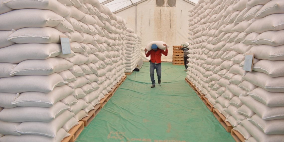 Guatemala ha permitido la importación de más de 637 mil toneladas métricas de alimentos
