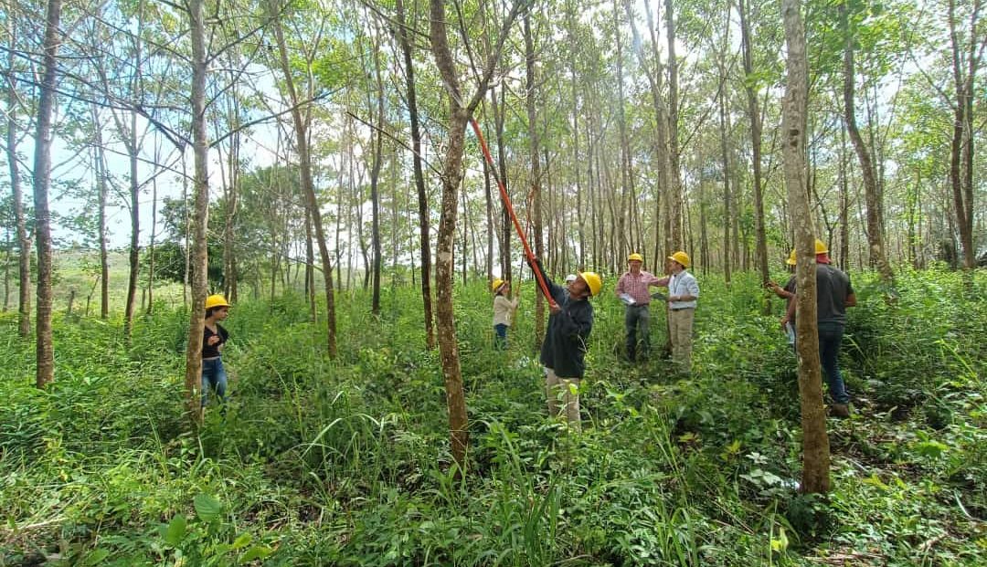 Finanzas resalta compromiso con traslado de fondos para programas forestales