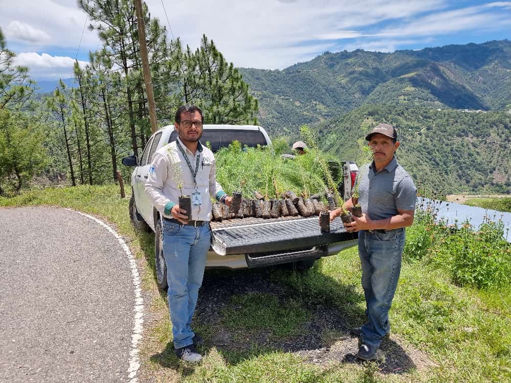 Llevan a cabo jornada de reforestación en San Marcos