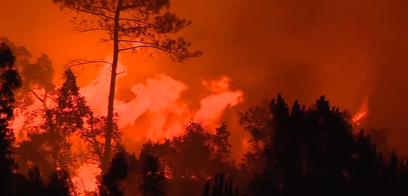 Unos mil 500 bomberos combaten 8 fuegos en Portugal ante meteorología extrema