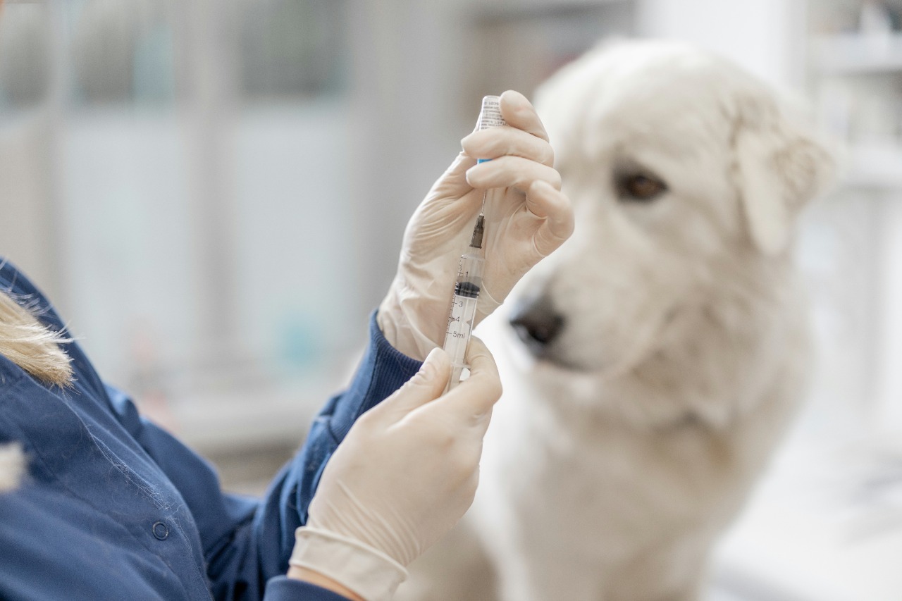 Autoridades de Salud ejecutan acciones para prevenir las zoonosis
