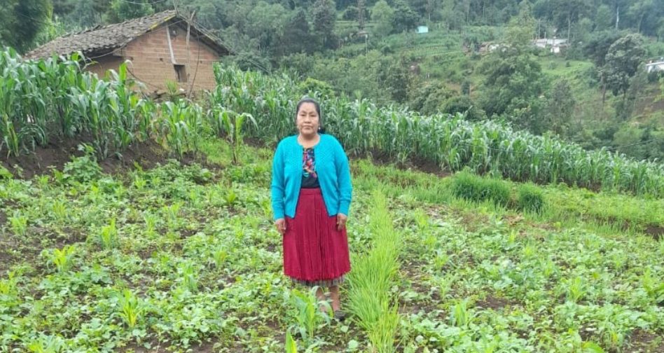 MAGA fomenta emprendimiento agrícola con equidad de género en San Marcos