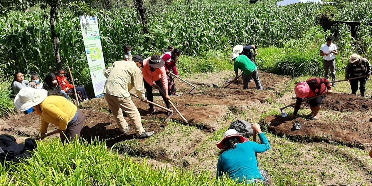 Establecimientos educativos de Tacaná reciben insumos para huertos