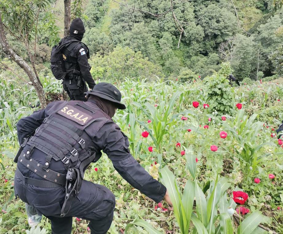 Cerca de 2 mil millones de quetzales incautados al narcotráfico en primer semestre de 2022