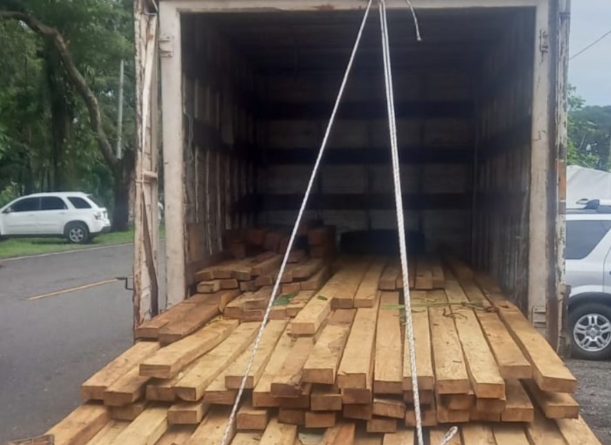 Suman 49 detenidos por tala ilegal y transporte de producto forestal