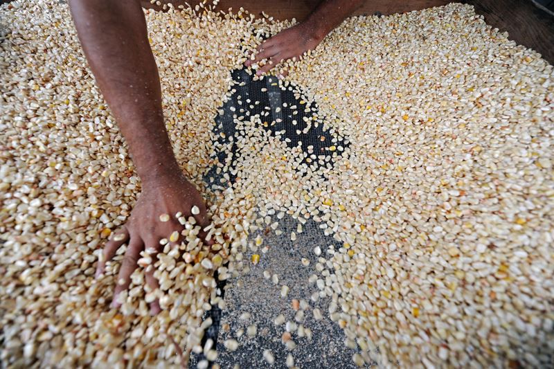 Más de 40 contingentes de importación de productos con cero aranceles se han autorizado a la fecha