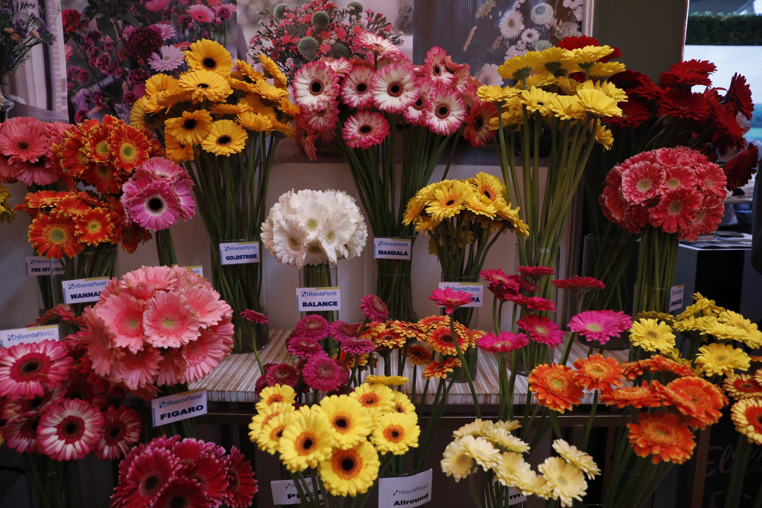 Guatemala promocionará productos agrícolas y florales en el extranjero