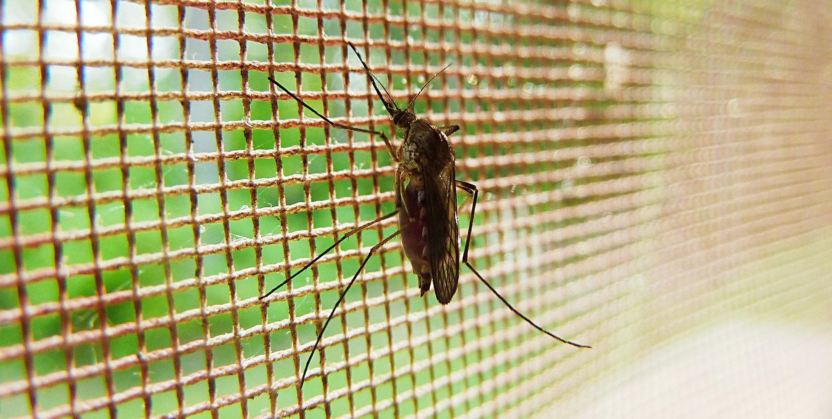 Salud capacita a personal para eliminar focos activos de malaria en Retalhuleu
