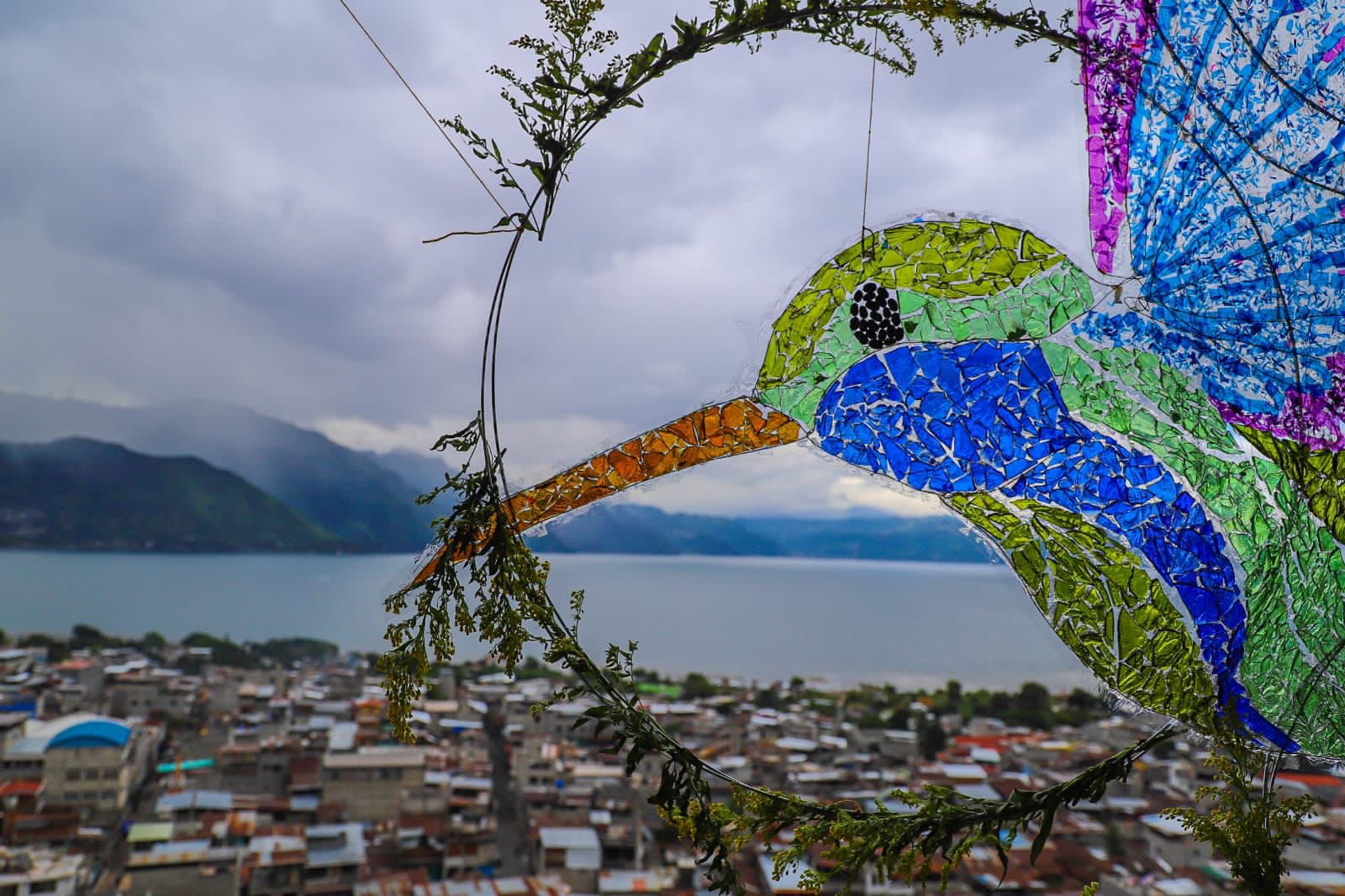 Realizan primer Festival del Colibrí en Sololá