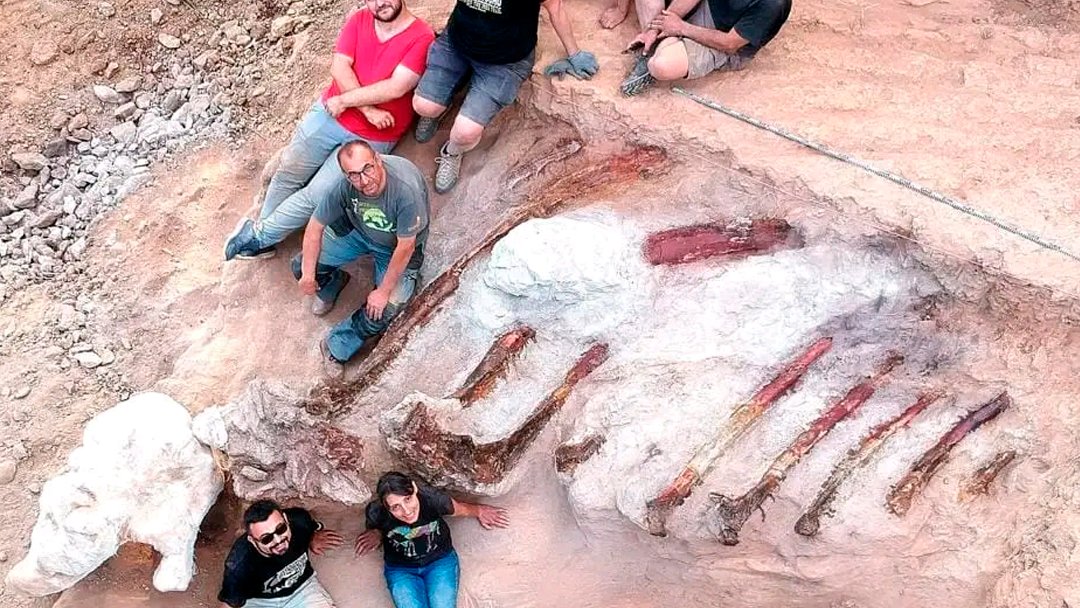 Hallan en Portugal esqueleto del que podría ser el mayor dinosaurio de Europa