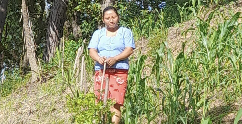 Pequeños productores de Olopa reciben estipendio por conservación de suelos
