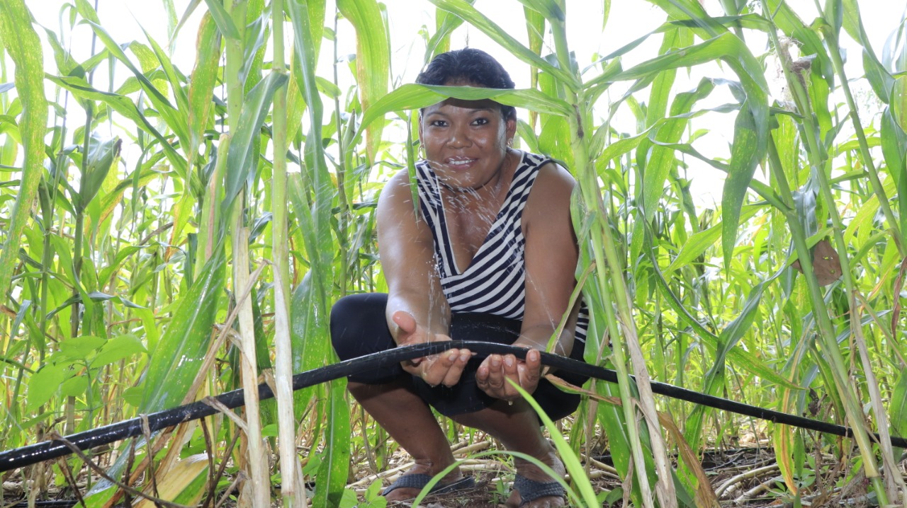 Sistemas de riego contribuyen al aumento de cultivos en el área rural