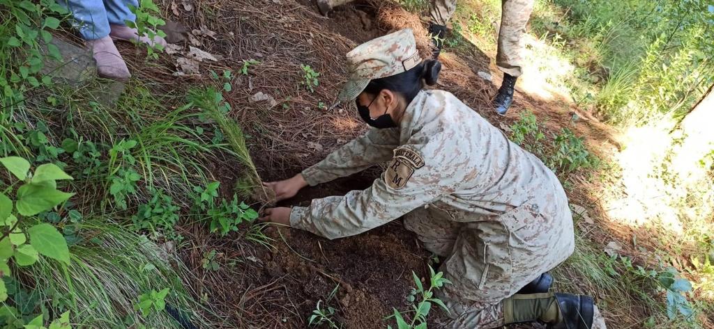 Reservistas militares apoyan reforestación en Totonicapán