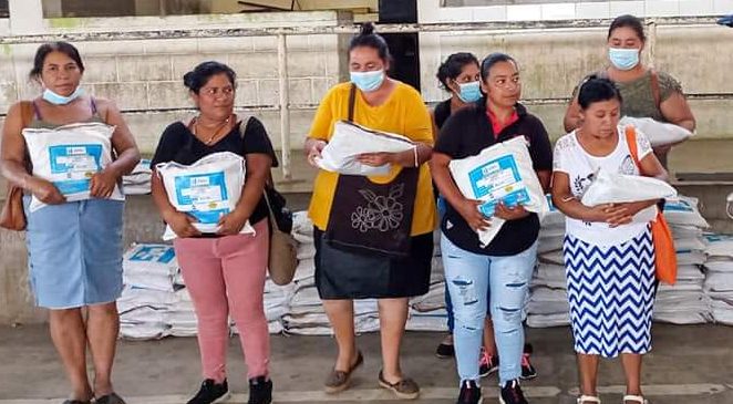 Huertos familiares y escolares fortalecen nutrición en Santa Rosa