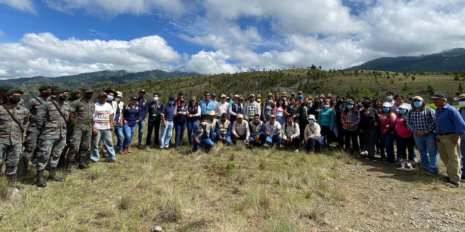 Reforestan zona hídrica y reserva de manantiales de Huehuetenango