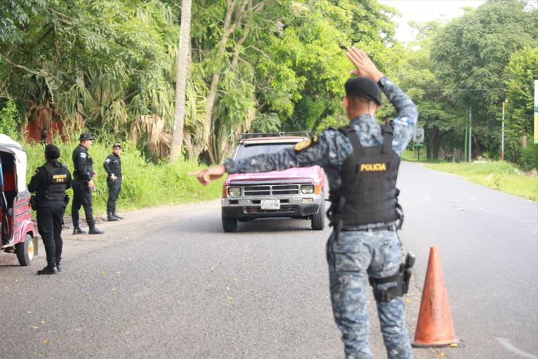 Reportan más de 500 capturas por delitos contra la flora y fauna