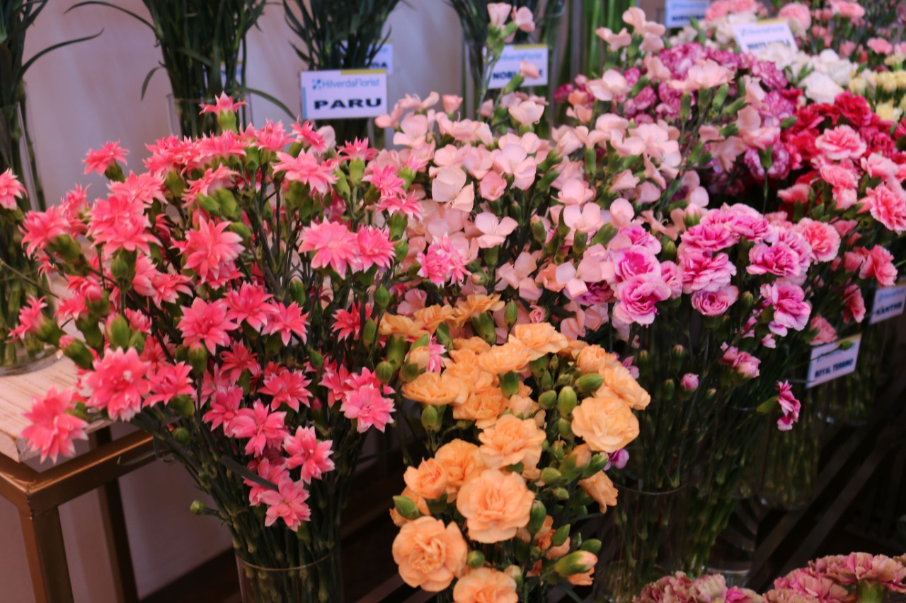 Continuan los preparativos para el 1er Congreso de plantas ornamentales, follajes y flores