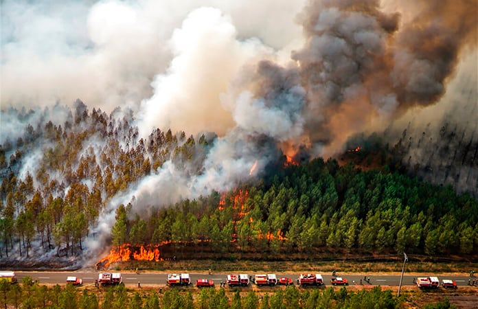 Francia registra emisiones de dióxido de carbono récord procedentes de incendios forestales