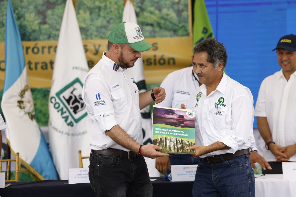 Impulsan modelo de manejo forestal sostenible en la Reserva de la Biosfera Maya, en Petén