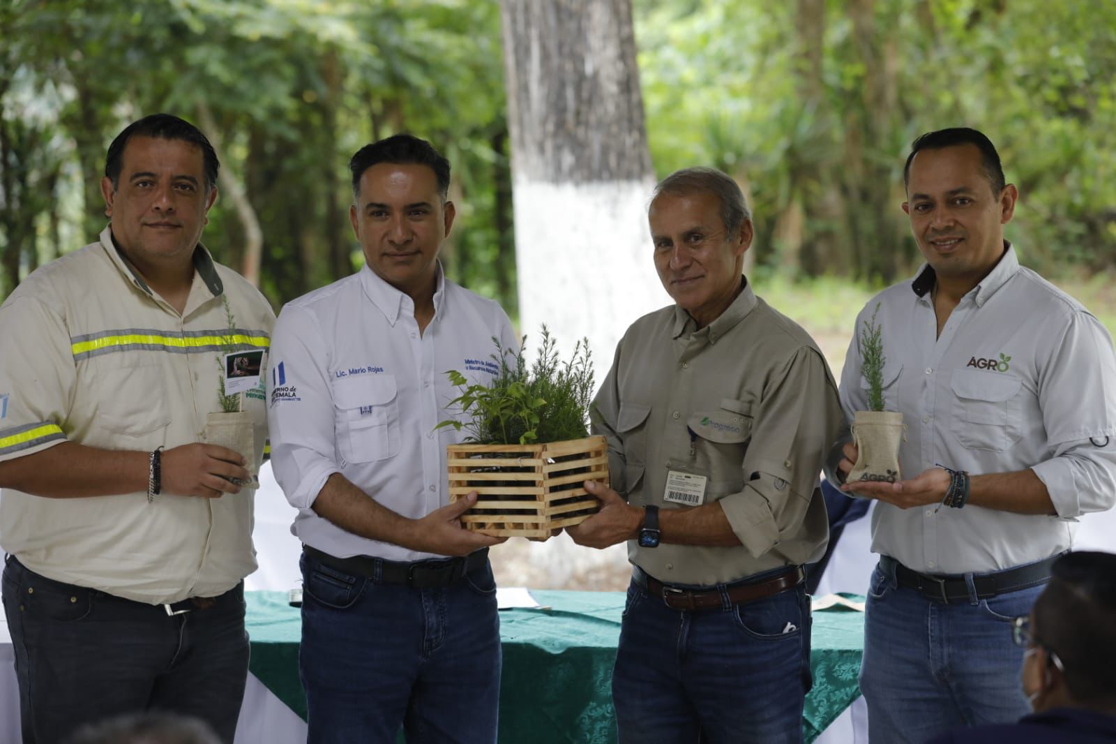 donativo, reforestación.