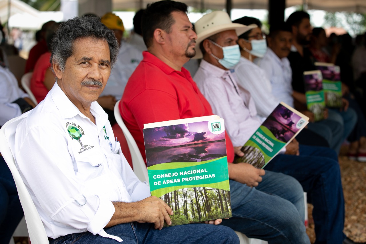 Más de 150 mil empleos generan las concesiones forestales en Petén