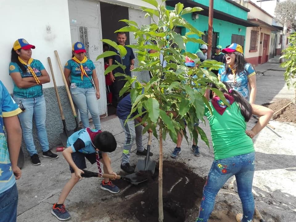 Lanzan campaña Adopta un Árbol, que busca contribuir con la reforestación