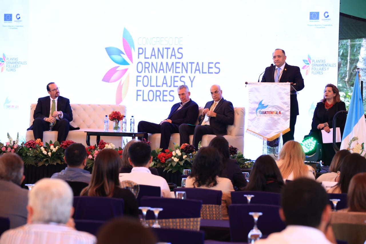 Sector floricultor, fuente de crecimiento para el desarrollo económico del país