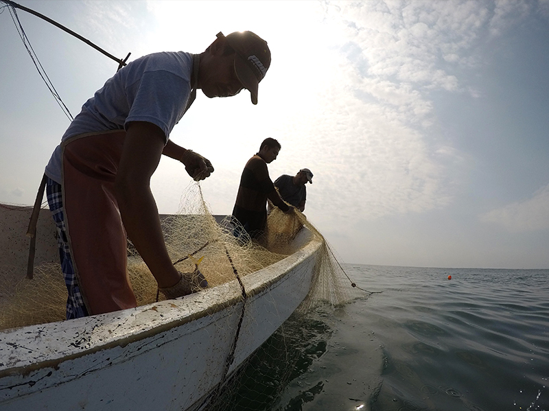 Guatemala y Panamá firman memorando para combatir pesca ilegal