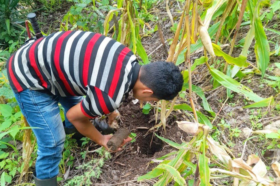 El Marn realizó jornadas de reforestación en El Progreso.
