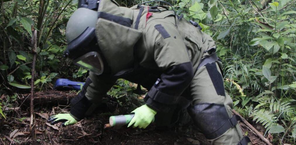 PNC reporta más de 70 capturados en las últimas 24 horas