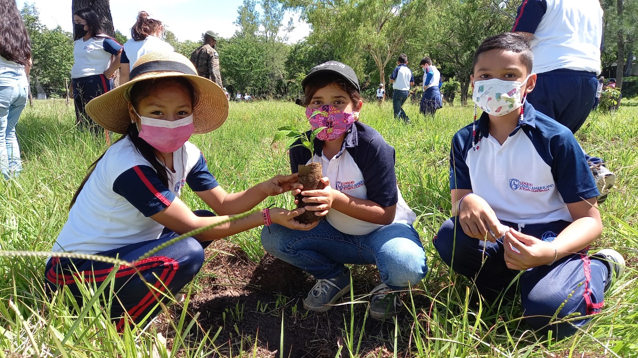 Sembrando Huella logra la reforestación de más de 420 mil árboles