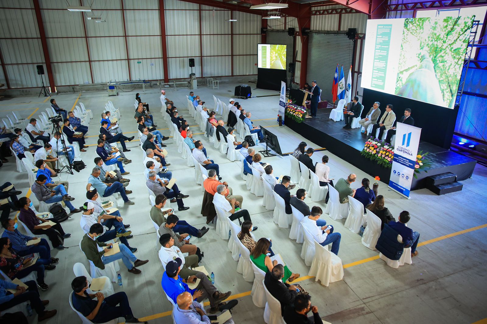 Guatemala celebra Primer Congreso Nacional del Bambú