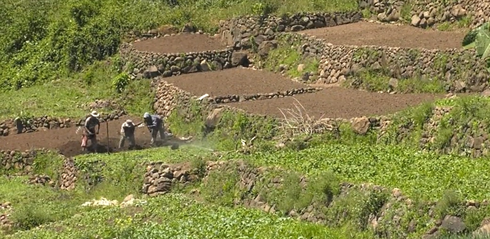Estipendio Agropecuario llega a pequeños productores de Quetzaltenango