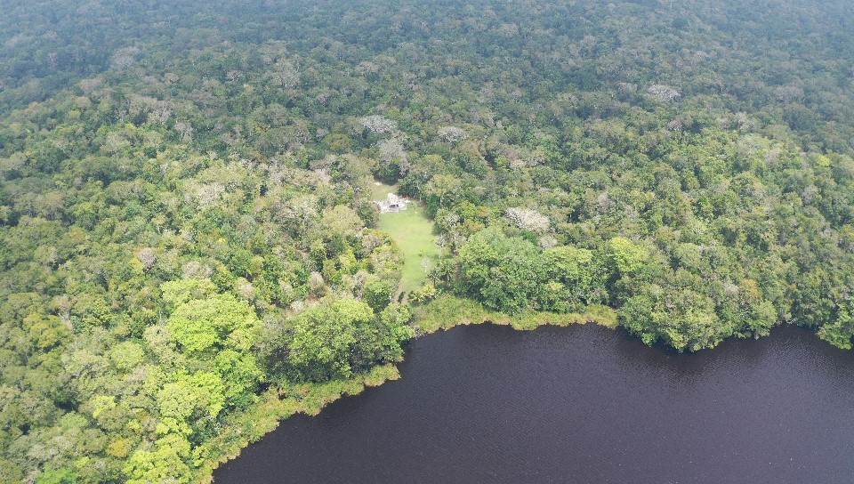 Guatemala, ejemplo de recuperación y conservación de bosques en Petén