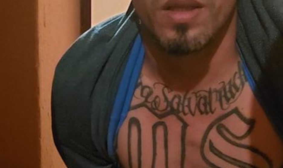 Presunto líder de “mara Salvatrucha” capturado en operativo antipandillas