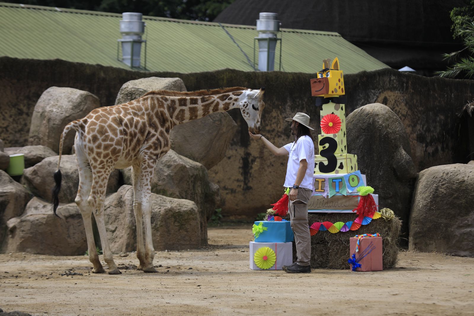 Familias visitan a “El Jirafito” por su tercer cumpleaños
