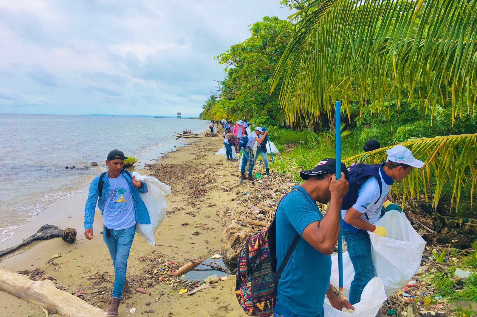 Realizan jornadas de limpieza en playas de Livingston