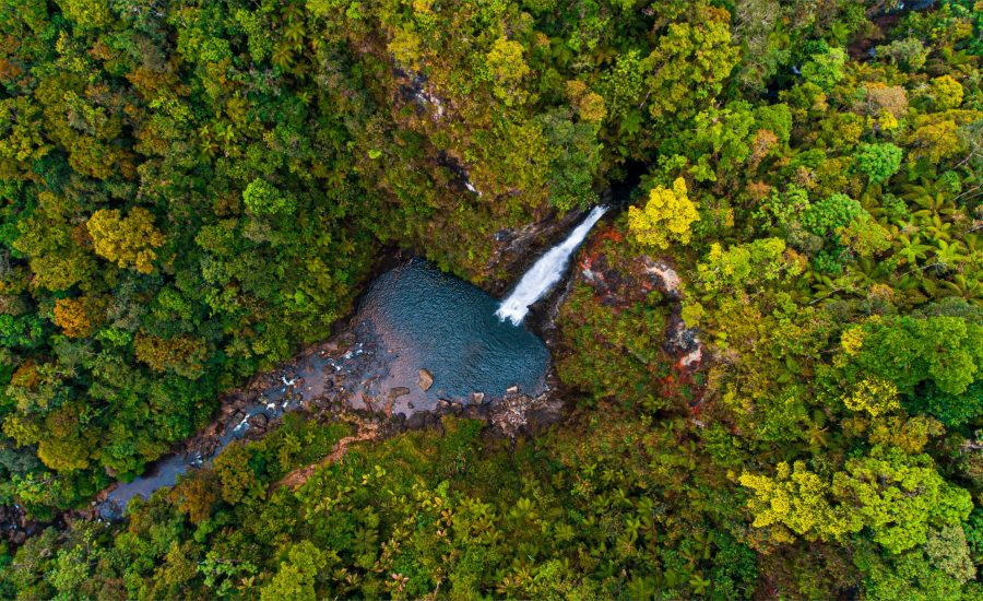 Reserva Natural Privada Ram Tzul. /Foto: CONAP