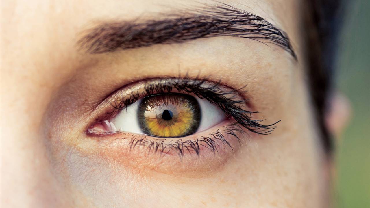 Proponen una nueva estrategia para tratar la degeneración de la retina