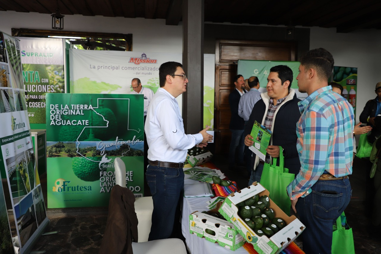 Congreso Nacional de Aguacate busca potencializar comercialización de este cultivo