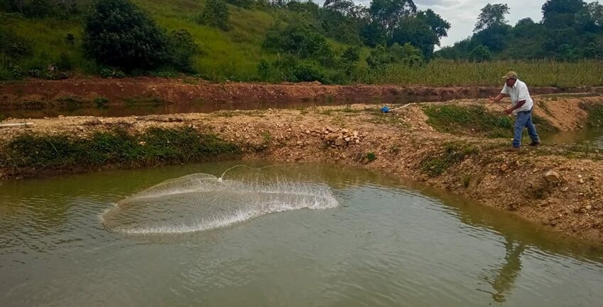 MAGA fortalece acuicultura en Petén