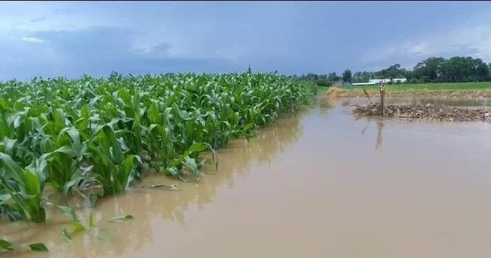 Actualizan recuento de daños provocados por fenómeno tropical en Alta Verapaz