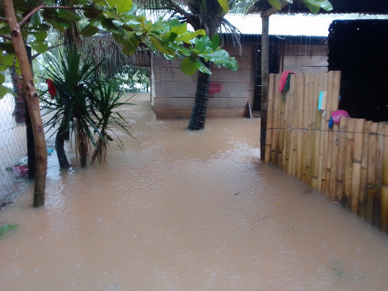 Atienden incidentes derivados de las lluvias de las últimas horas