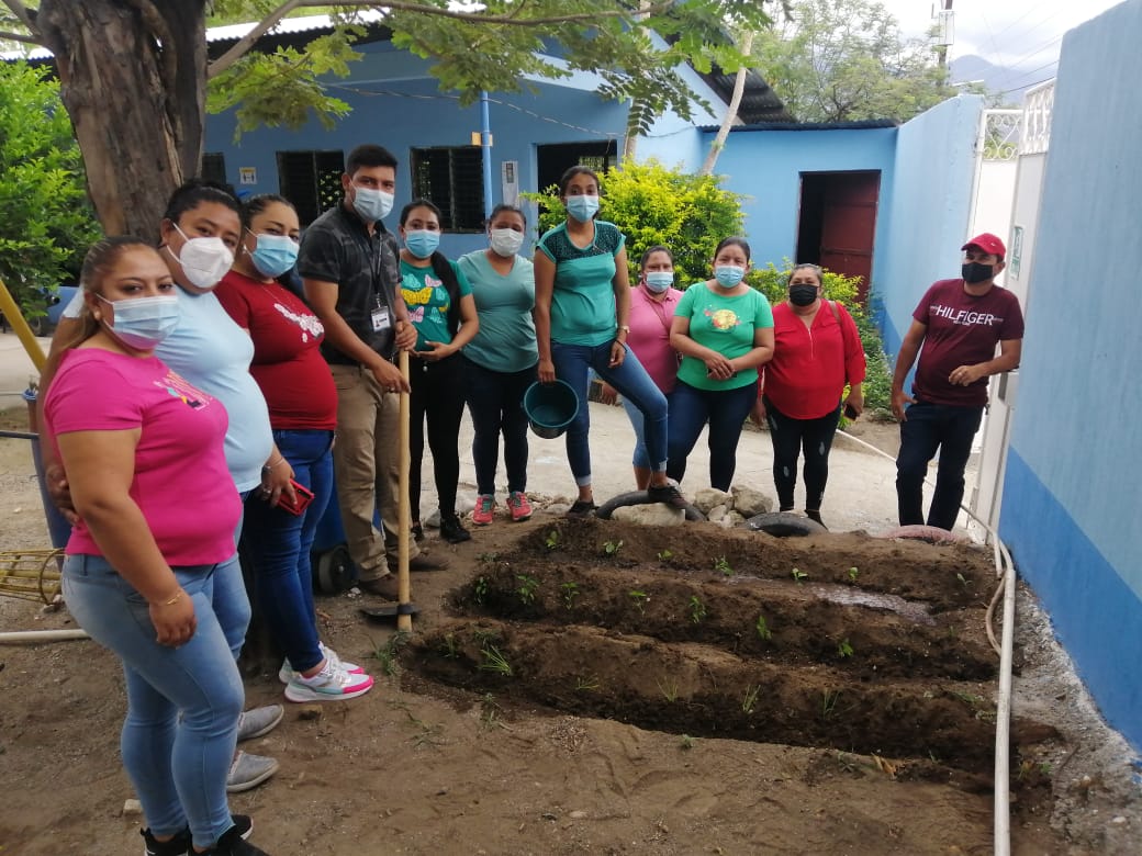 Huertos escolares con fines pedagógicos
