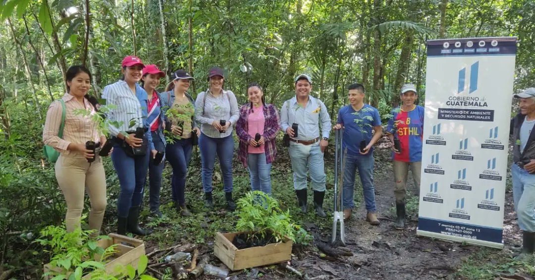 Jornada de reforestación en Petén. /Foto: MARN