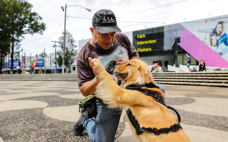 Más de 500 perros fueron vacunados en Plaza Cristóbal Colón, Avenida las Américas