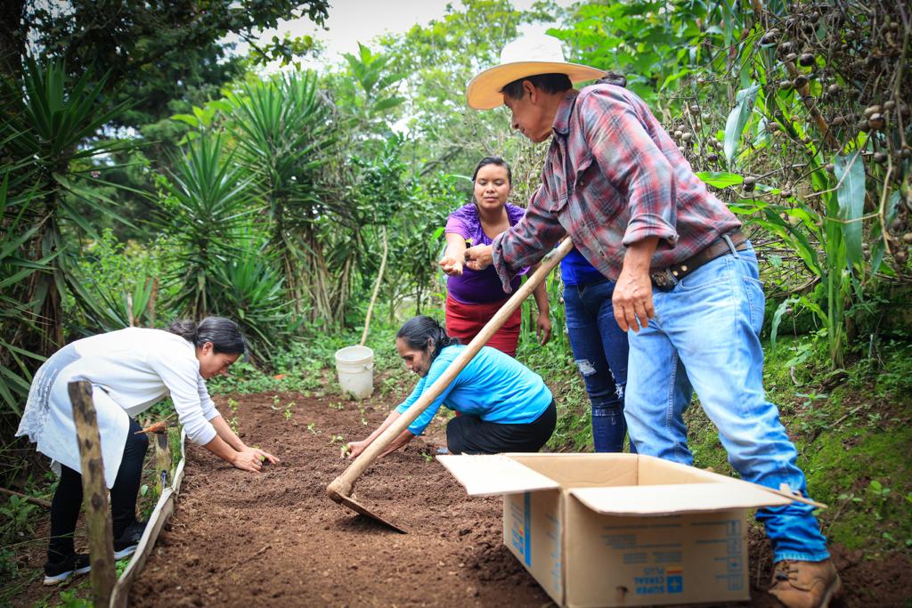Estipendio es parte del plan de conservación de suelos. /Foto: Maga