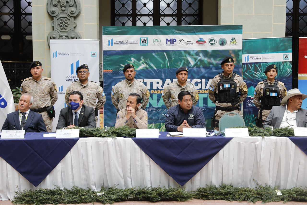 Anuncian operativos para prevenir el tráfico de pinabete